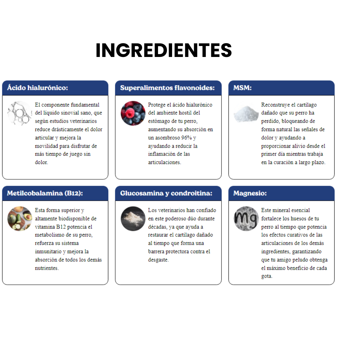 FREEDOM®|SUPLEMENTO PARA LA MOVILIDAD DE TU PERRO