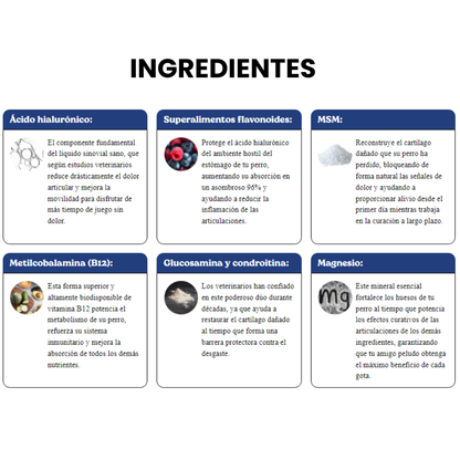 FREEDOM®|SUPLEMENTO PARA LA MOVILIDAD DE TU PERRO