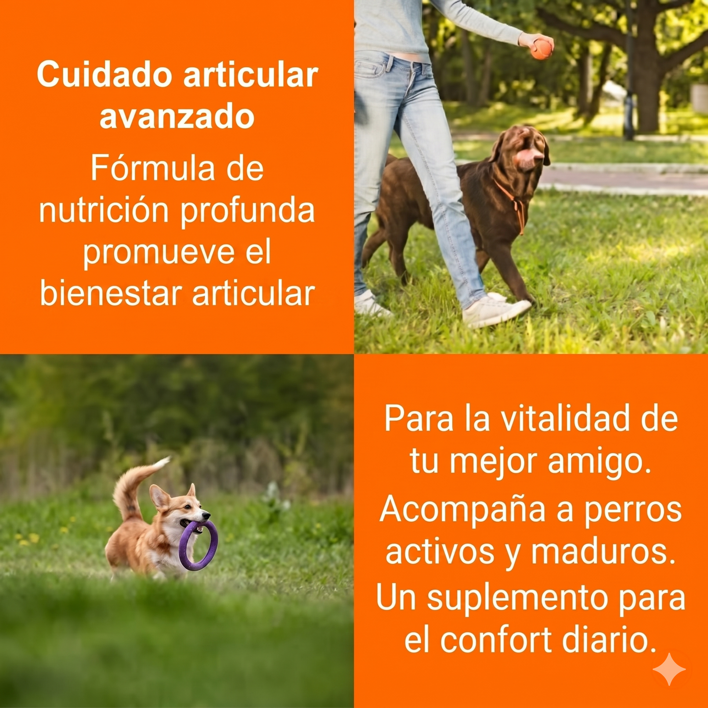 FREEDOM®|SUPLEMENTO PARA LA MOVILIDAD DE TU PERRO