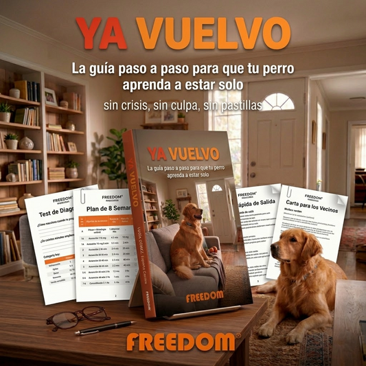 Ya Vuelvo — La guía paso a paso para terminar con la ansiedad por separación de tu perro